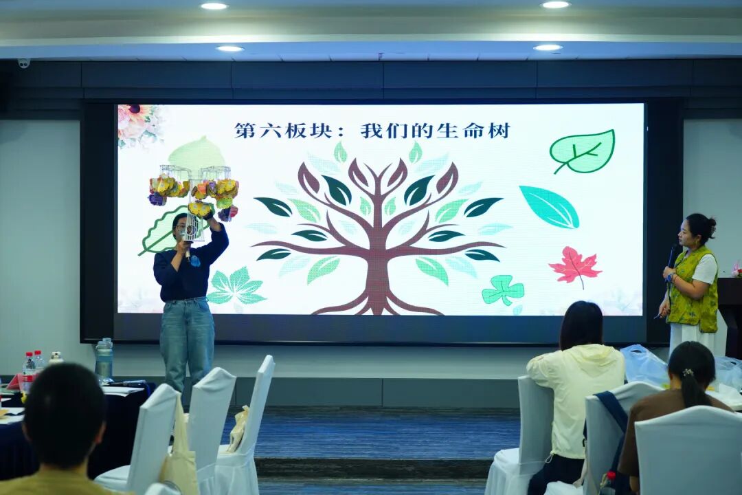 1761894260190002726.jpg 13.jpg