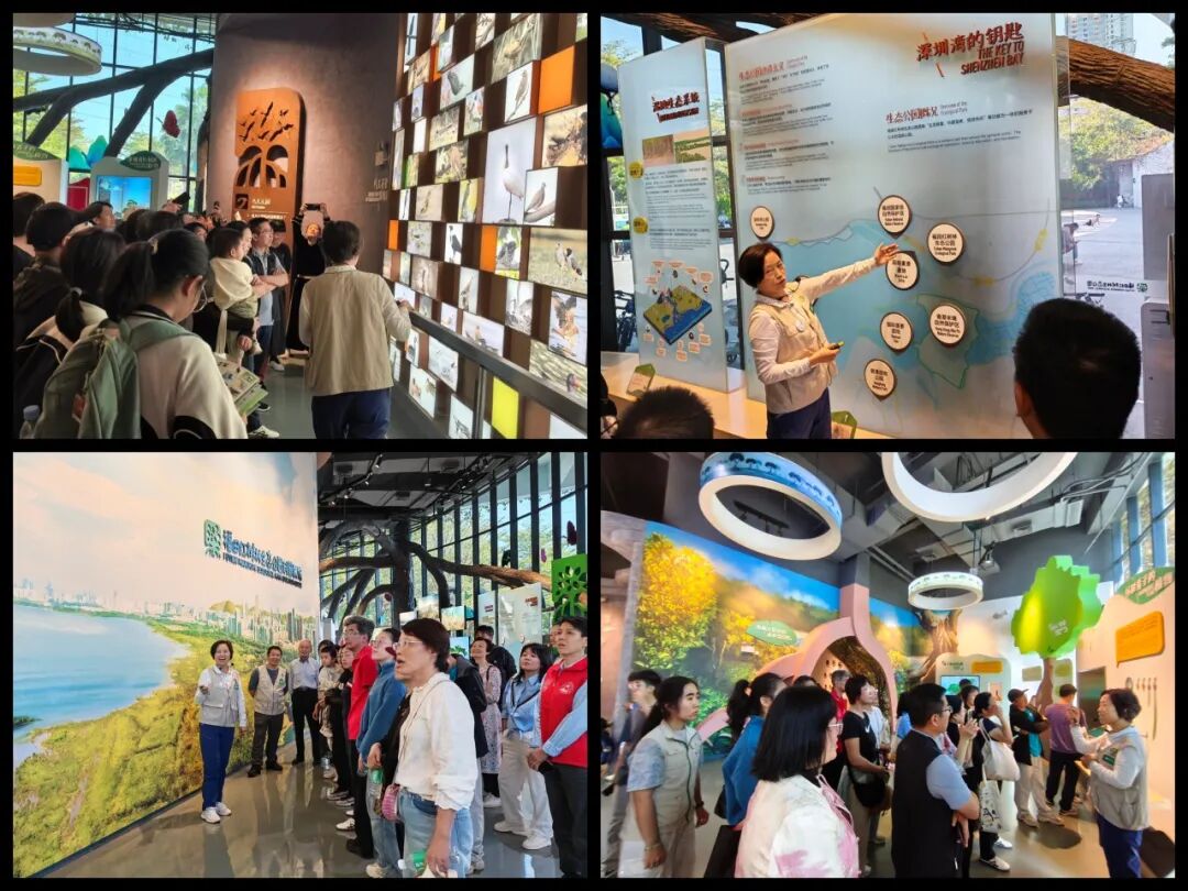 1767002164968051346.jpg 2.jpg