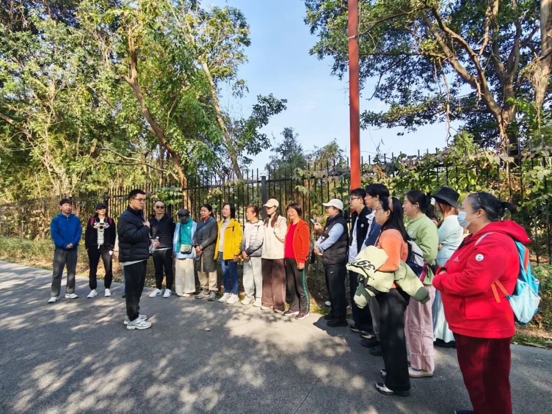 1770025185319063018.jpg 2.jpg