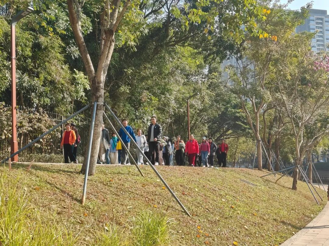 1770025195284033203.jpg 3.jpg